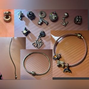 Pandora and Gnoce charm bracelets and charms